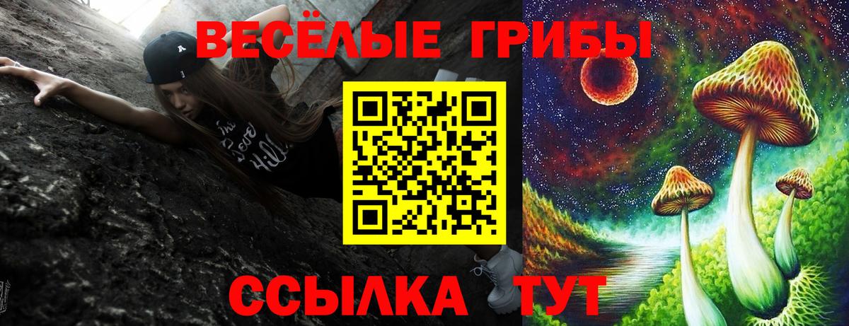 Псилоцибиновые грибы Psilocybe Нефтекамск