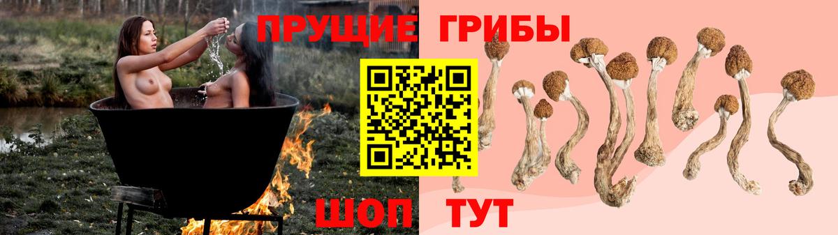 Нефтекамск  Галлюциногенные грибы Psilocybe  Вход с VPN 